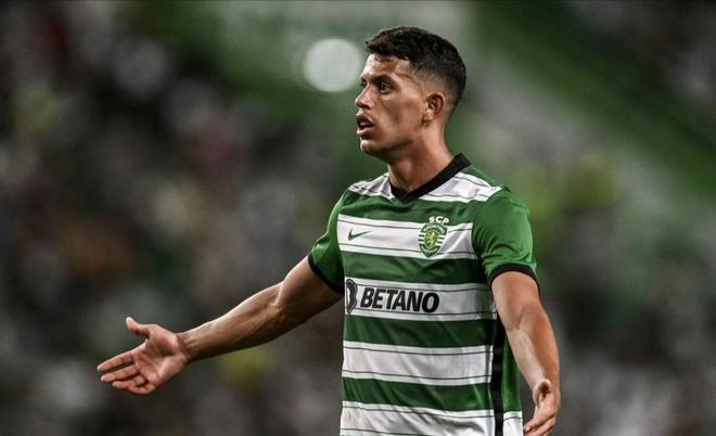 壶运动打开 壶运动打开