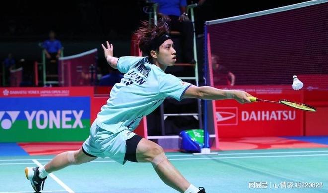 世界女排联 世界女排联