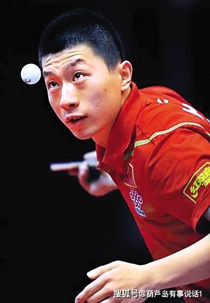 项目上的竞 项目上的竞