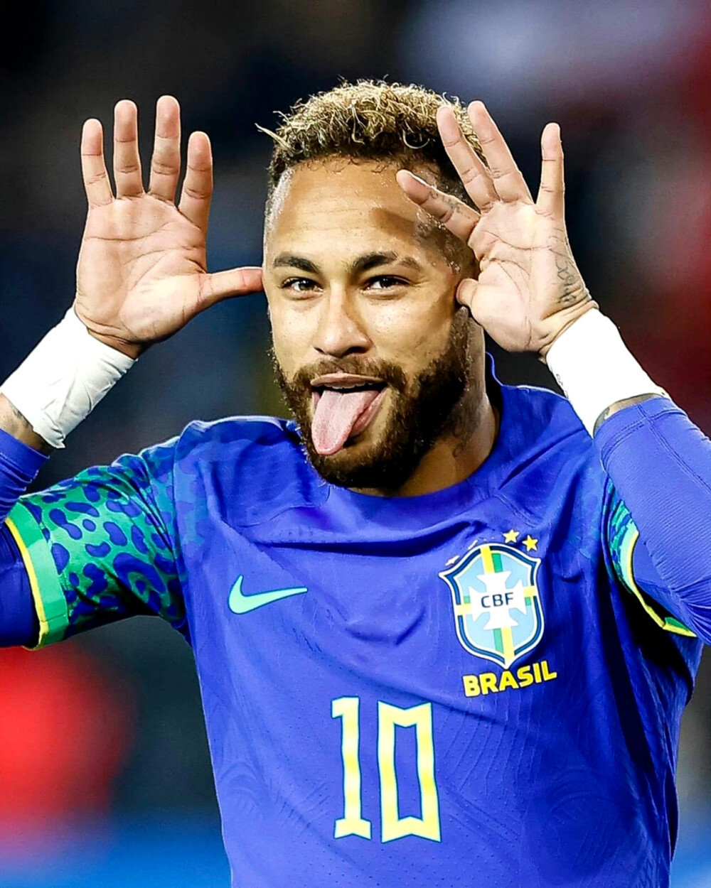 金子豪的出 金子豪的出