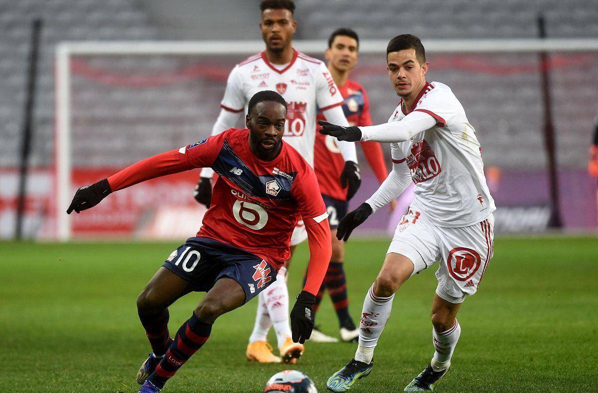 维罗纳的铁 维罗纳的铁